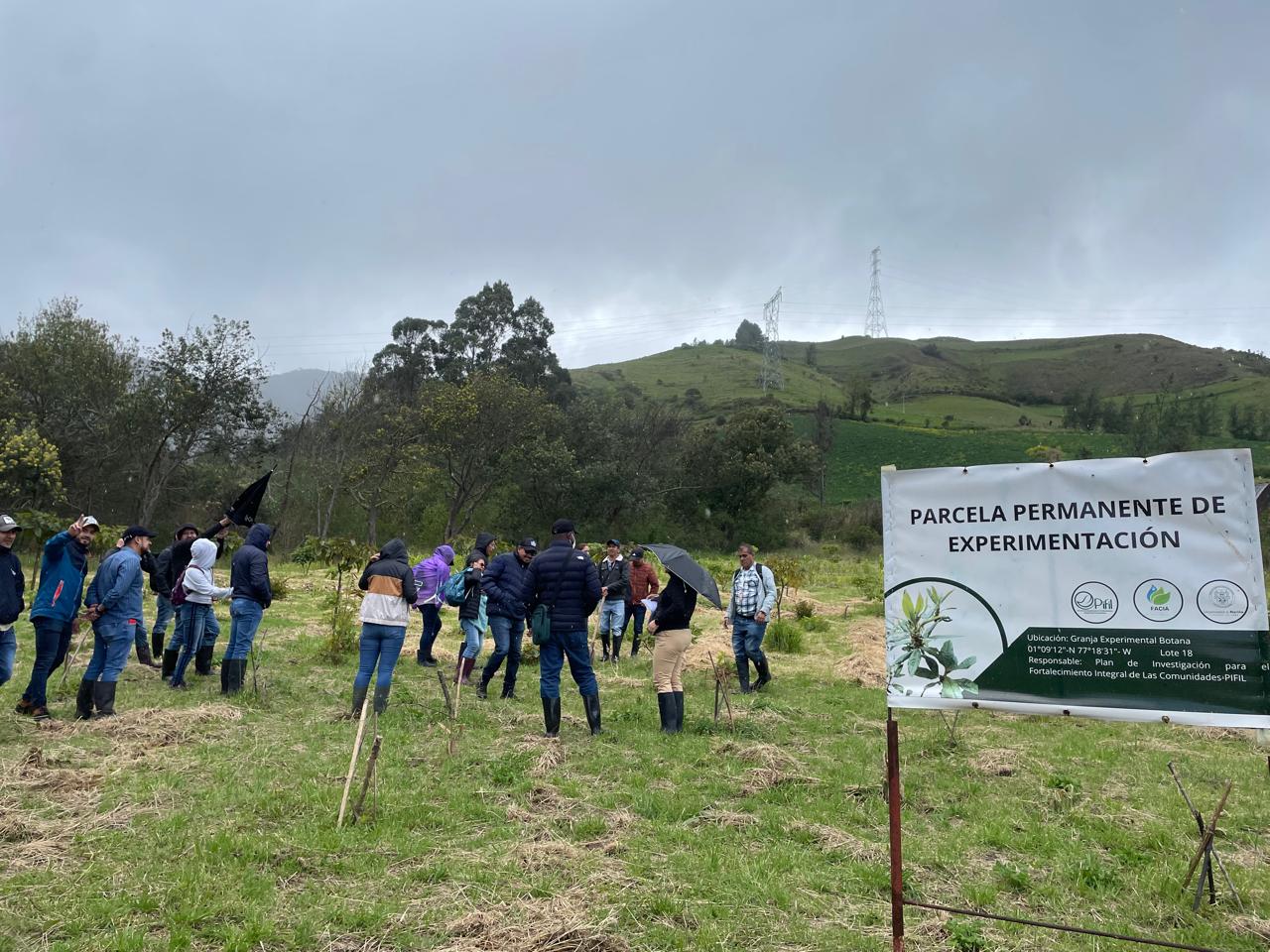PIFIL Grupo de Investigación 3