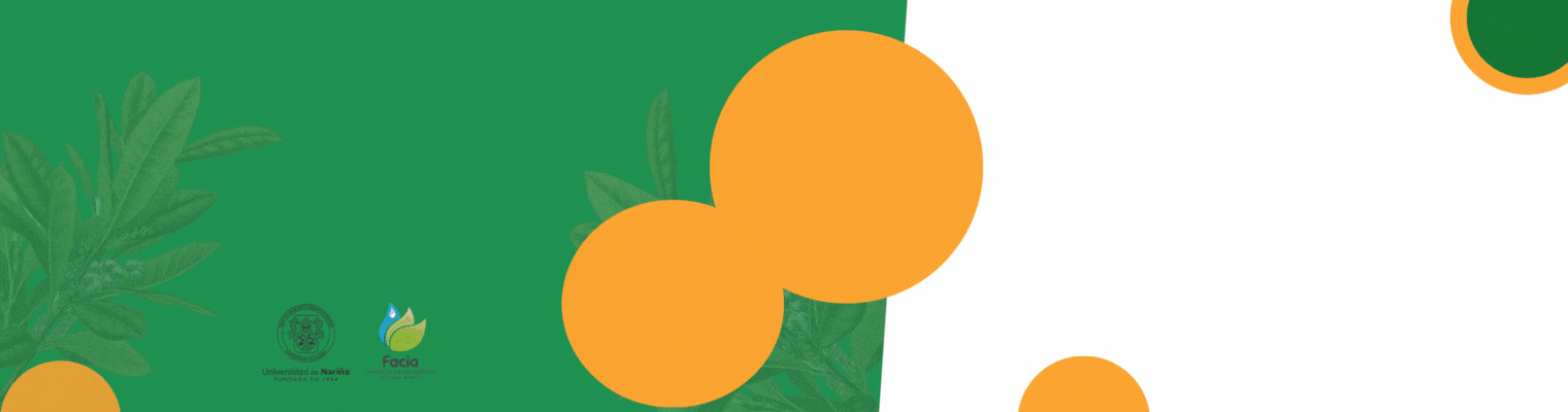 Banner 30 años Pifil